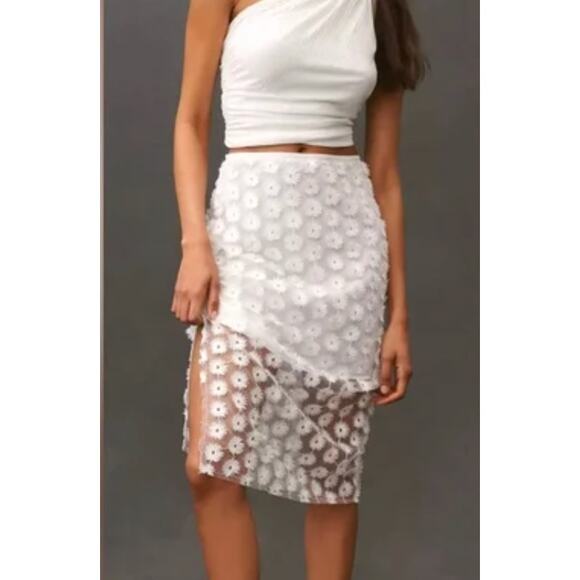 Anthropologie Dresses & Skirts - By Anthropologie 3D Texture Sheer Slip Midi Skirt | L, White Floral